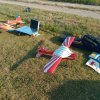Sommernachtsfliegen
